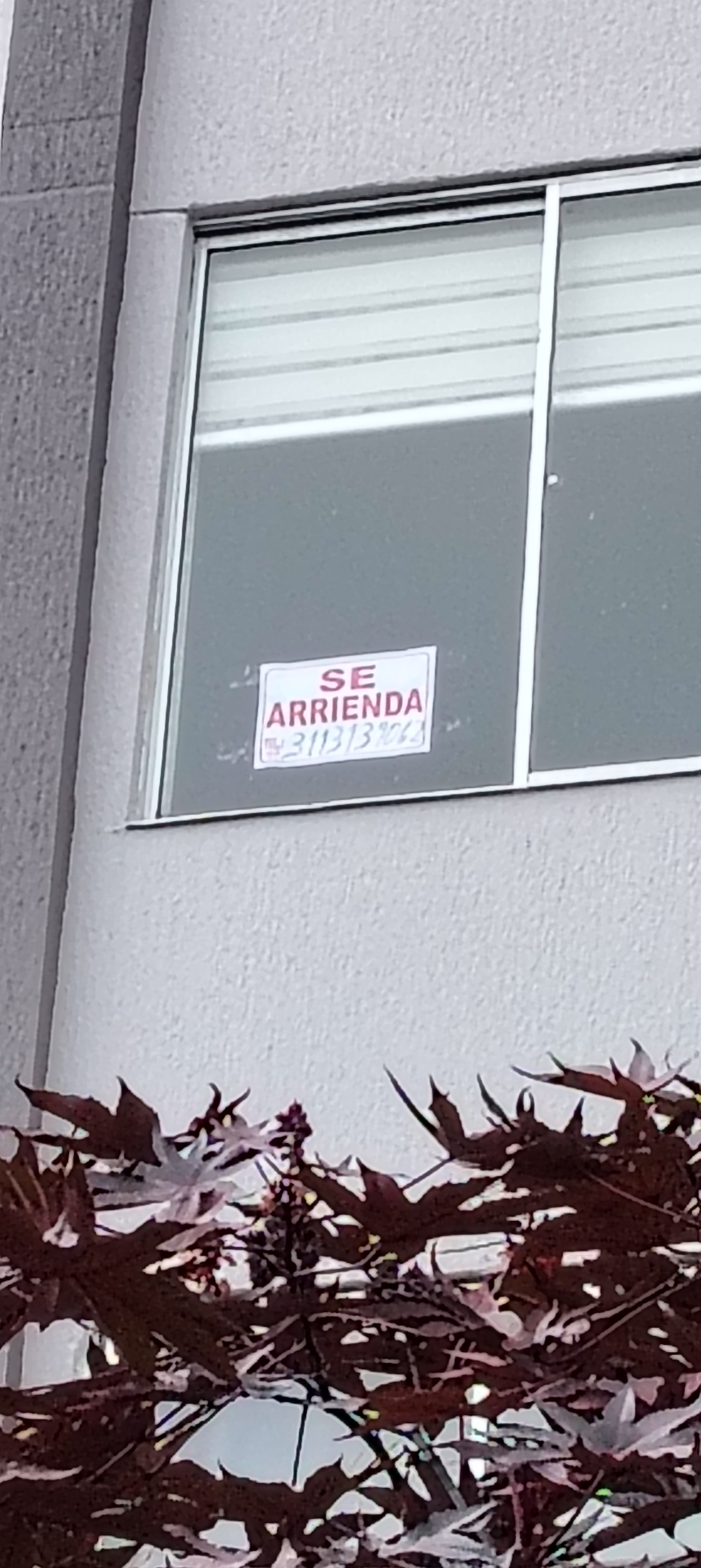 Foto de Inmueble en arriendo en Edificio torres de la Francia - barrio la Francia